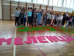 IMG_20190506_120819.jpg